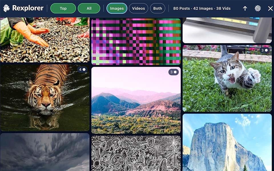Rexplorer media gallery for Reddit