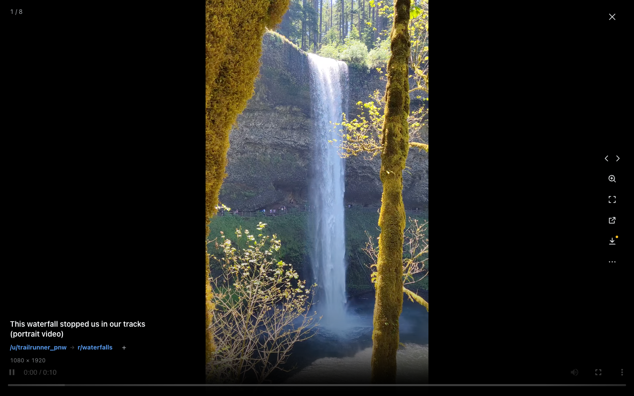 Portrait Reddit video in Rexplorer