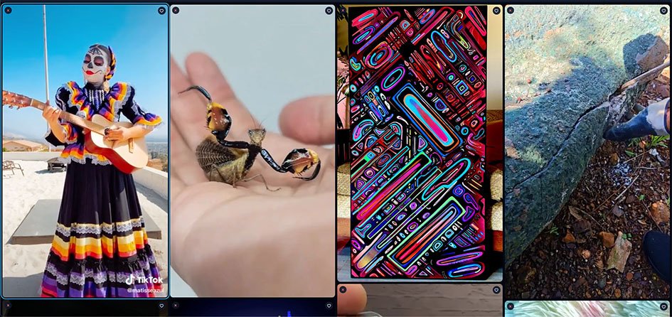 Rexplorer Gallery Comfy