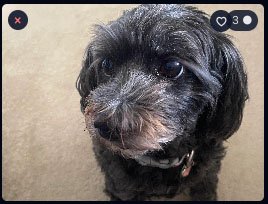 Rexplorer Hidden Favorites